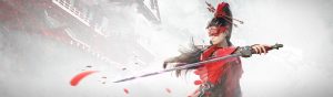 24 Entertainment, Naraka: Bladepoint, NetEase Games