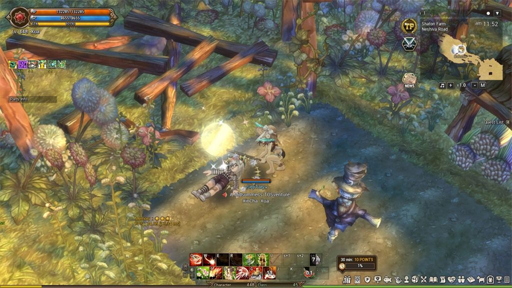 Tree of Savior combat system